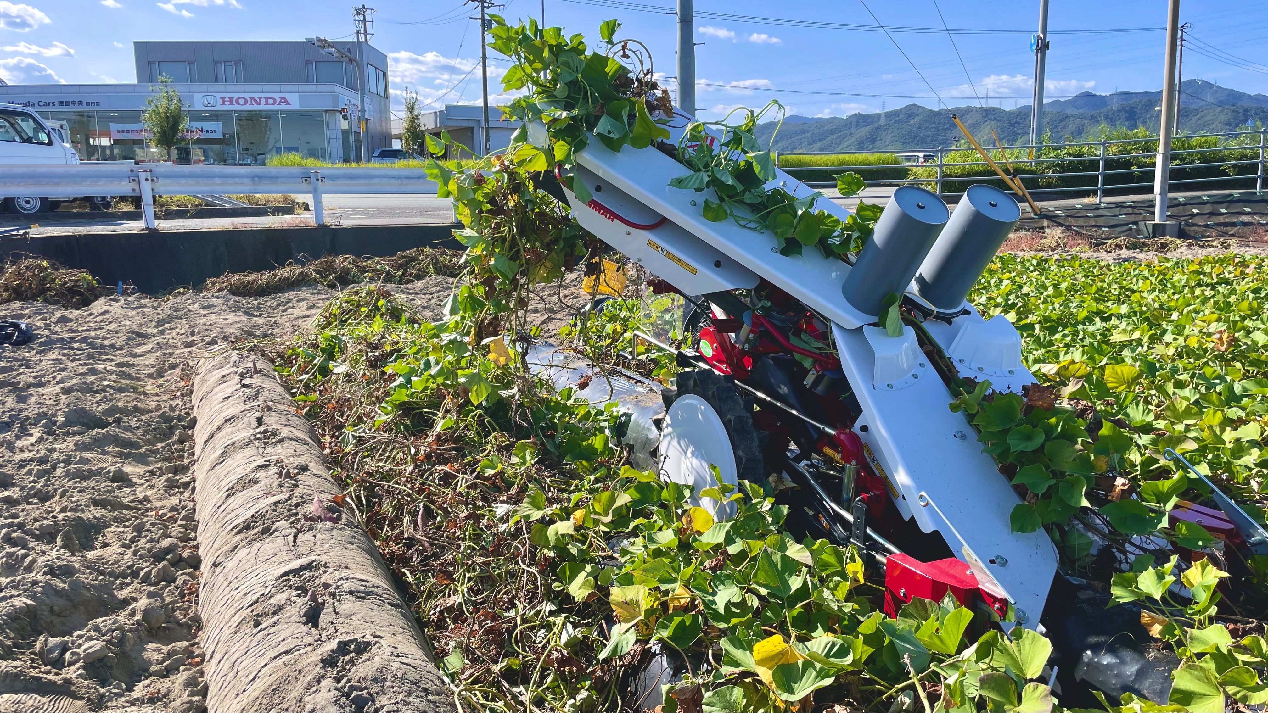 2023-10-06_14_26_10.jpg?v=