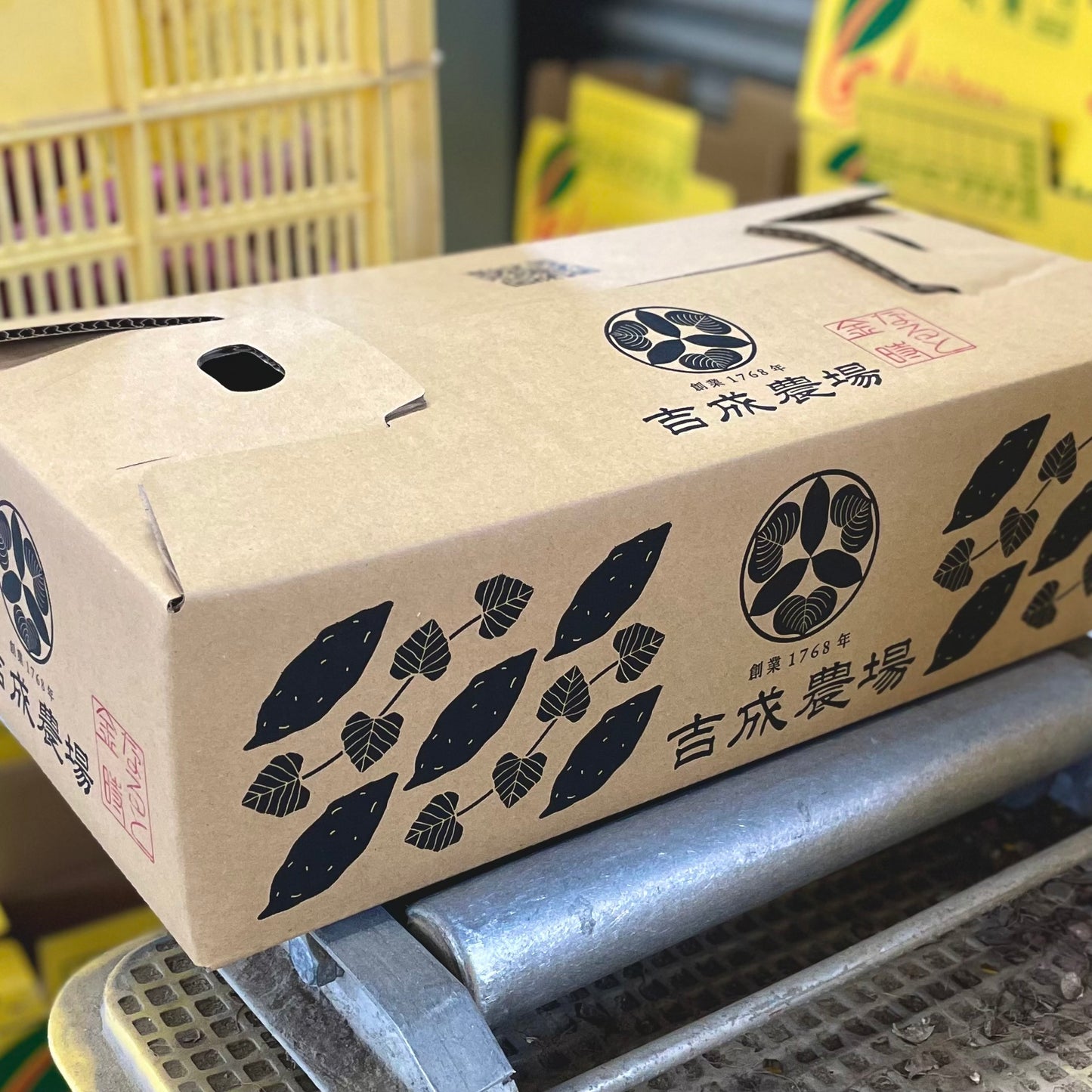 紅はるか5kg(訳あり)※送料無料