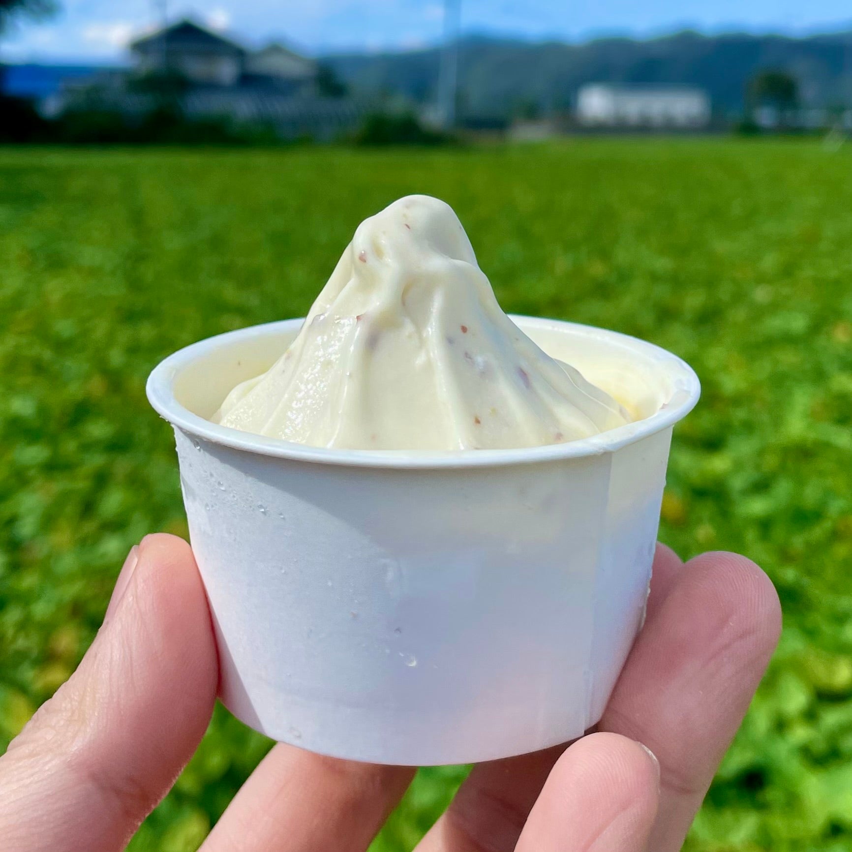 徳島県鳴門産さつまいも（なると金時）お取り寄せ｜吉成農場株式会社