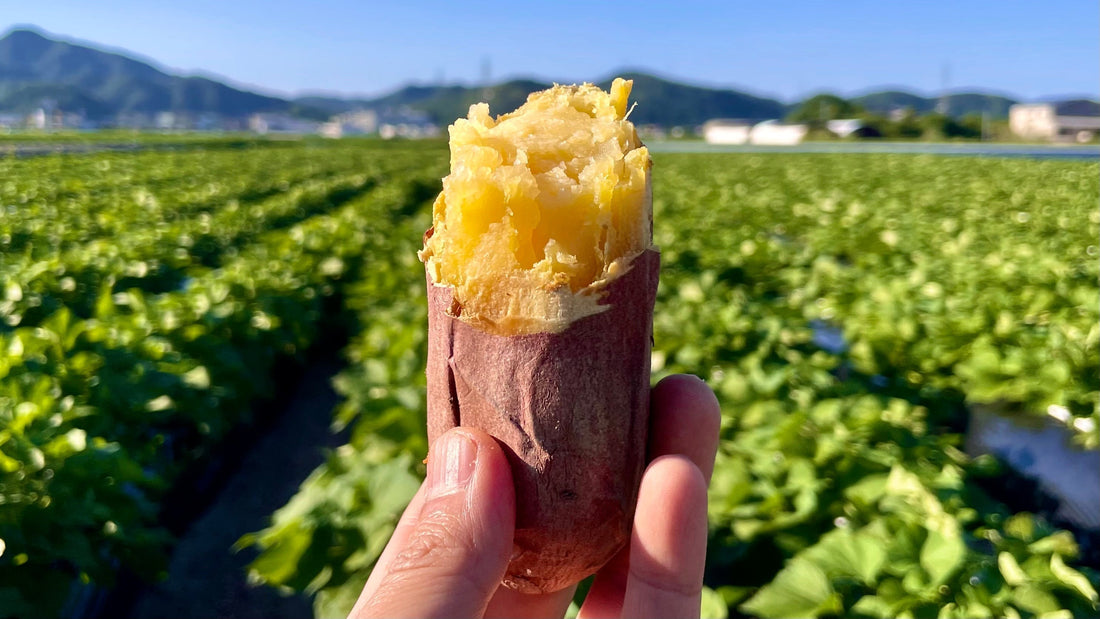 冷凍焼き芋、はじめました。