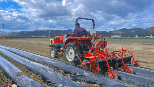 畑の準備が終わりました。